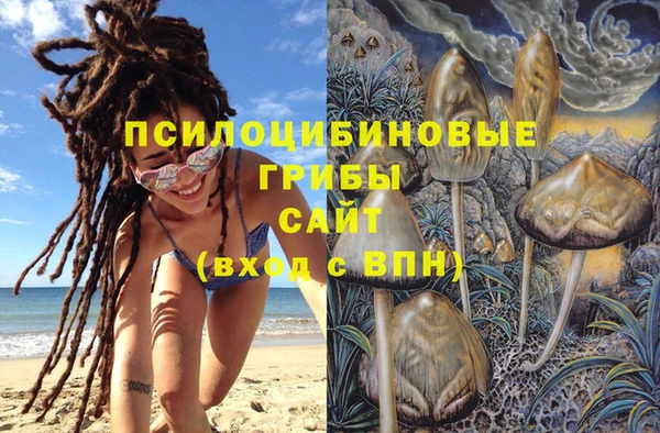 дмт Белокуриха