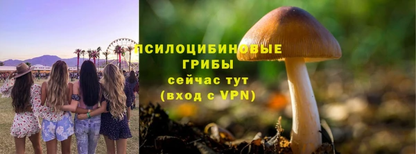 кристаллы Белоозёрский