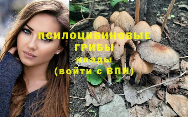 дмт Белокуриха