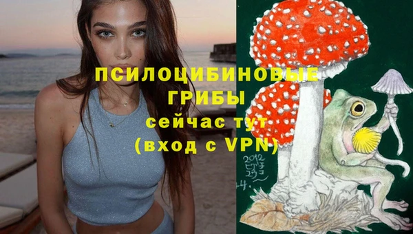 дмт Белокуриха