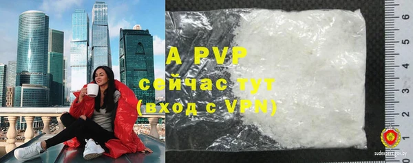 дмт Белокуриха